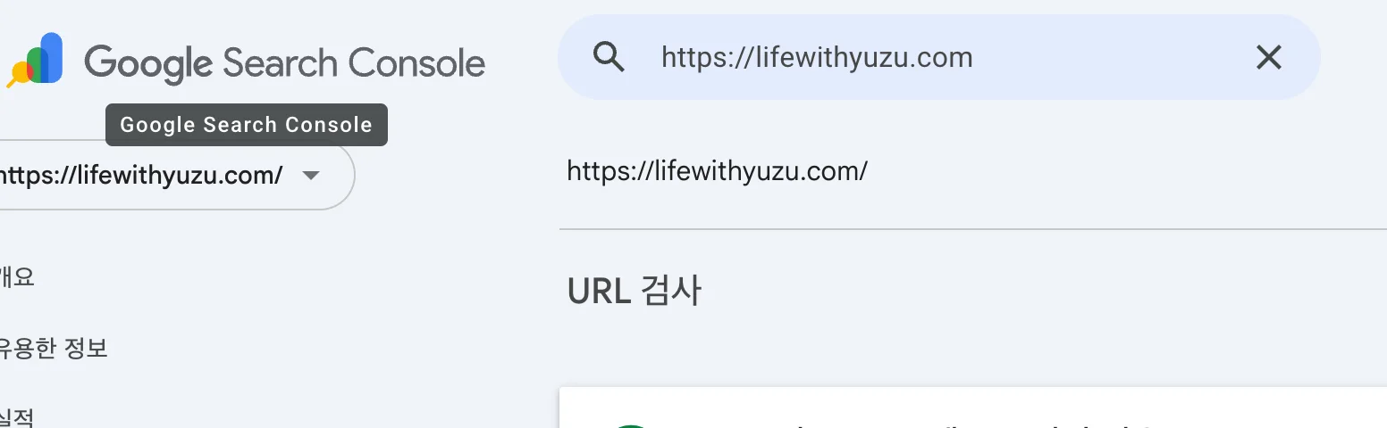 서치콘솔 URL 검사 전체검사 실행 화면